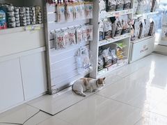 -宠福鑫动物医院(立水桥分院)