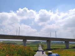 -光明小镇欢乐田园