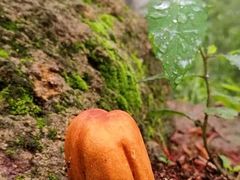 -云峰山自然风景区