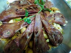 -万宝宝芝林(北辰店)