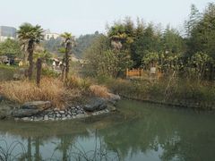 -咸宁万豪温泉谷度假区