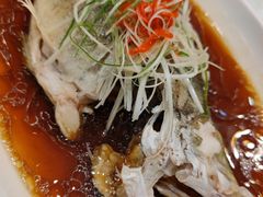 清蒸桂鱼-老人和饭店(打浦路店)
