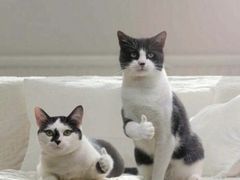 -1点点(学府路店)