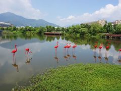 -福州大学(旗山校区)