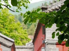 -潭柘寺景区