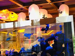 -怡咖啡海鲜自助餐厅(浦东香格里拉店)
