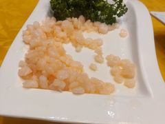 清炒虾仁-大鸿运酒店·苏州菜·松鼠桂鱼(观前街店)