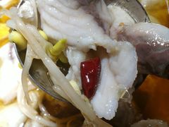 -雲蜀龙阁·金牌水煮鱼(方庄店)