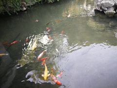 -金庸书院