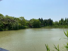 -苏州太湖国家湿地公园