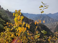 -圣莲山风景区
