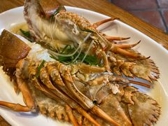 清蒸虾姑排-大厝宅海鲜馆