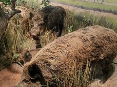 -陕西自然博物馆