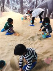 -恐龙探索乐园(磁器口店)