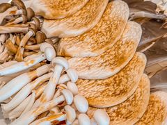 -揽月斋炙子烤肉·清真(安定门·五道营店)