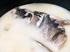 泉水珊瑚鱼头煲-小厨娘淮扬菜(板桥一店)