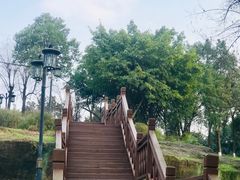 -大渡口区义渡公园