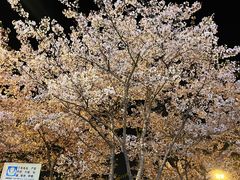 -华中科技大学光谷体育馆