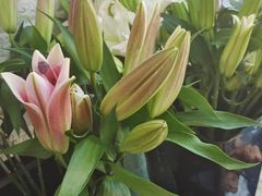 -雪蔓之鲜花气球派对(家佳源时代中心店)