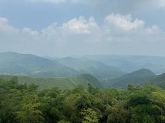 -莫干山风景区