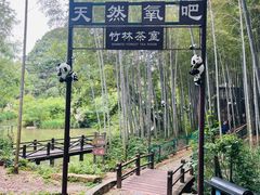 -宝岩生态观光园