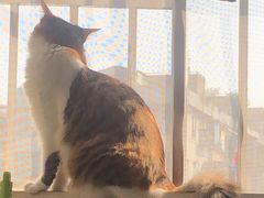 -长乐饼家(五羊新城店)