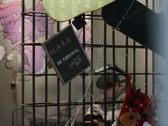 -BE NORMAL CAFE(霞溪路店)