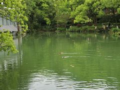 -杭州花家山庄