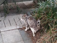 -李公面(星尚邻里店)