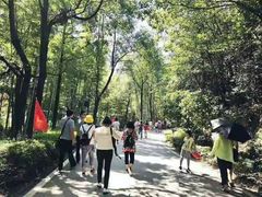 -石燕湖生态旅游景区