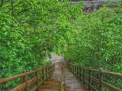 -武隆天坑寨子景区