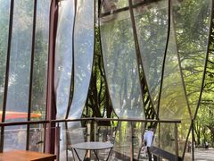 -鸡鸣汤包(红山动物园店)