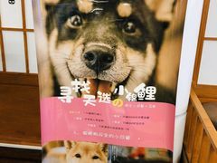 -豆柴町-柴犬主题狗咖(红鼎国际C座店)