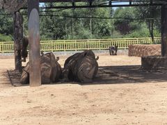 -鄂尔多斯野生动物园