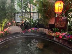 -东方华地城湿地温泉度假区