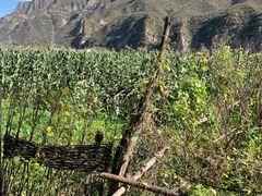 -野三坡清泉山风景区