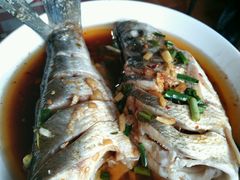 -南花桥羊肉馆老字号(乌镇店)