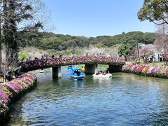 -苏州上方山国家森林公园