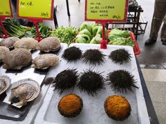 -蚝专家(北滘店)