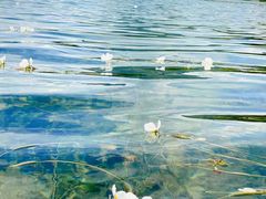 -丽江泸沽湖景区