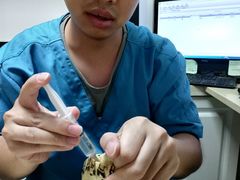 -安安宠医·安宠宠物医院