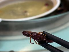 -山菌美食苑(振兴路店)