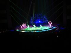 -水秀国际大剧院