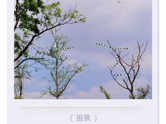 -东钱湖旅游度假区