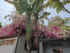 -深圳国际园林花卉博览园