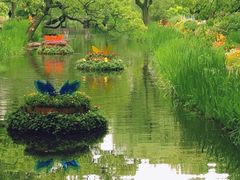 -上海共青森林公园