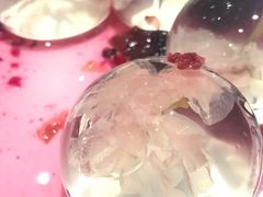 樱花冻-五条人糖水铺(武林总店)