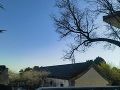 -北京鹫峰国家森林公园