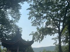 -南京老山国家森林公园