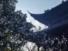 -钱王祠
